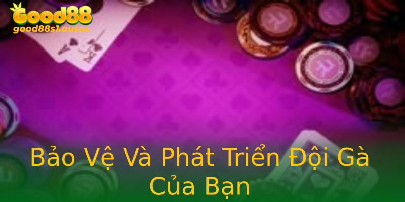 Bảo Vệ Và Phát Triển Đội Gà Của Bạn Bảo Vệ Và Phát Triển Đội Gà Của Bạn