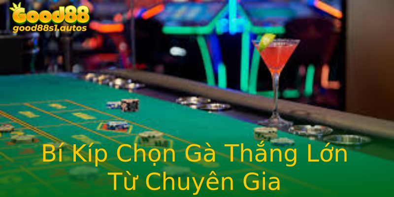 Bí Kíp Chọn Gà Thắng Lớn Từ Chuyên Gia Bí Kíp Chọn Gà Thắng Lớn Từ Chuyên Gia