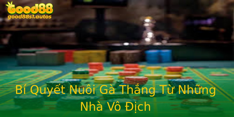 Bí Quyết Nuôi Gà Thắng Từ Những Nhà Vô Địch Bí Quyết Nuôi Gà Thắng Từ Những Nhà Vô Địch