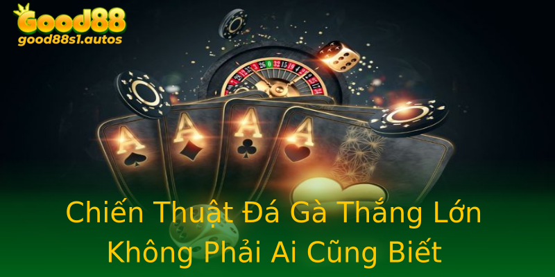 Chiến Thuật Đá Gà Thắng Lớn Không Phải Ai Cũng Biết Chiến Thuật Đá Gà Thắng Lớn Không Phải Ai Cũng Biết