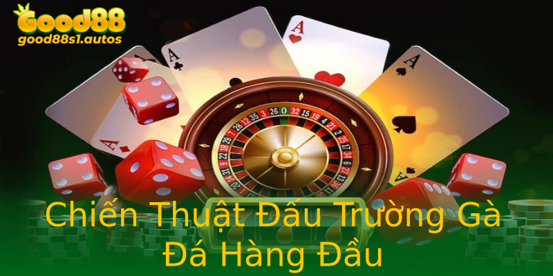 Chiến Thuật Đấu Trường Gà Đá Hàng Đầu Chiến Thuật Đấu Trường Gà Đá Hàng Đầu