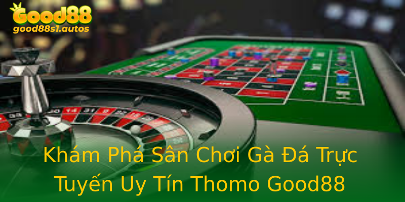 Khám Phá Sân Chơi Gà Đá Trực Tuyến Uy Tín Thomo Good88 Khám Phá Sân Chơi Gà Đá Trực Tuyến Uy Tín Thomo Good88