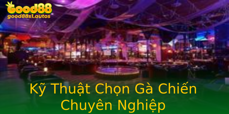 Kỹ Thuật Chọn Gà Chiến Chuyên Nghiệp Kỹ Thuật Chọn Gà Chiến Chuyên Nghiệp