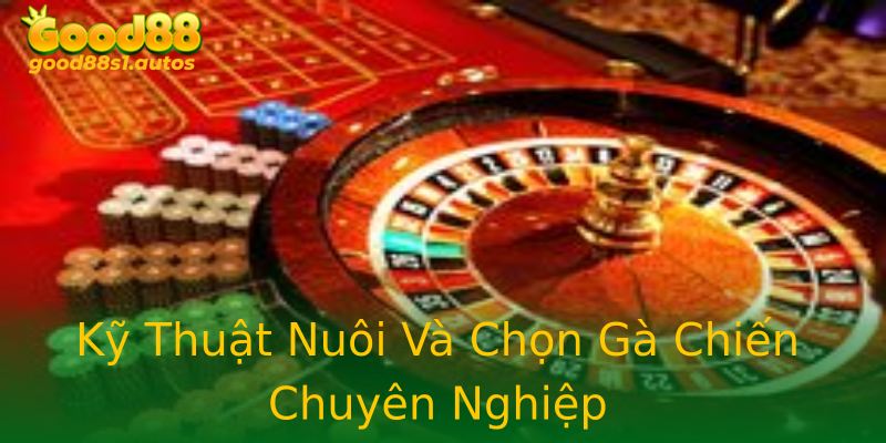 Kỹ Thuật Nuôi Và Chọn Gà Chiến Chuyên Nghiệp Kỹ Thuật Nuôi Và Chọn Gà Chiến Chuyên Nghiệp